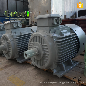 Permanent Magnet Generator 100kw 250rpm 48-690V Alternator with BV